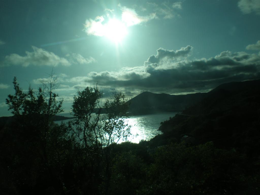 Villa Lidija Budva Szoba fotó