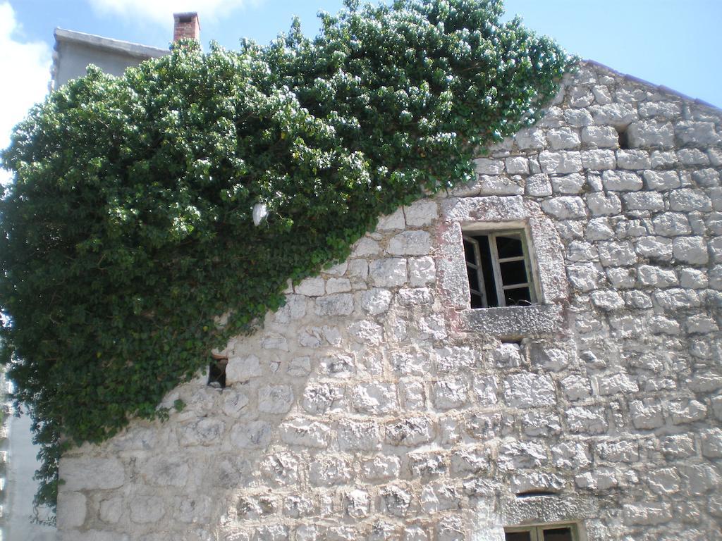 Villa Lidija Budva Szoba fotó